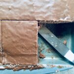 Chocolate Snack Cake