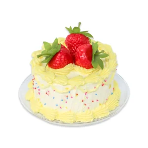 Jenny Lemons Fake Cake Kit
